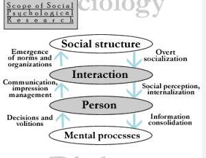 SOCIAL PSYCHOLOGY II PSY2001