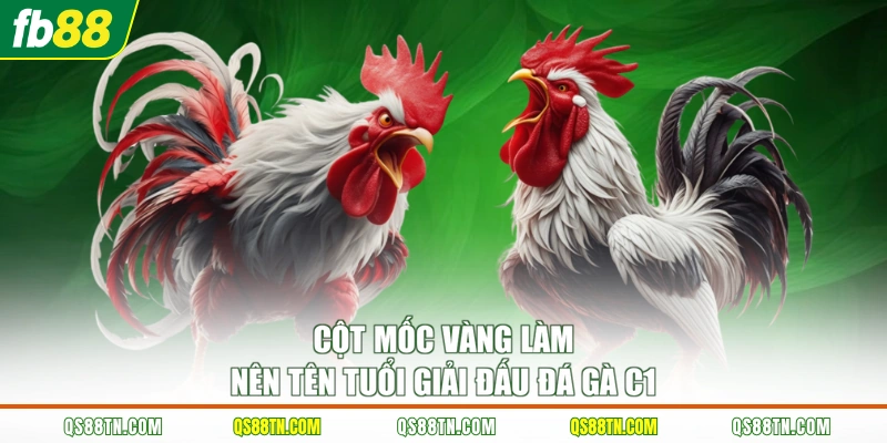 Cột mốc vàng làm nên tên tuổi giải đấu đá gà C1